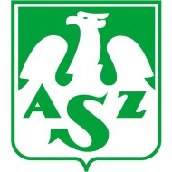 Logo AZS PŁ