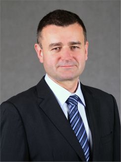 Professor Andrzej Romanowski